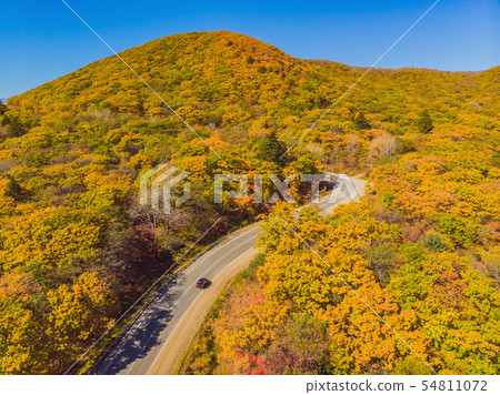 Aerial view of road in beautiful autumn forest at sunset. Beautiful landscape with empty rural road 54811072