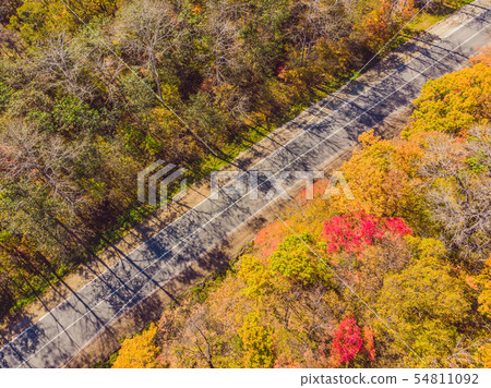 Aerial view of road in beautiful autumn forest at sunset. Beautiful landscape with empty rural road Aerial view of road in beautiful autumn forest at sunset. Beautiful landscape with empty rural road 54811092