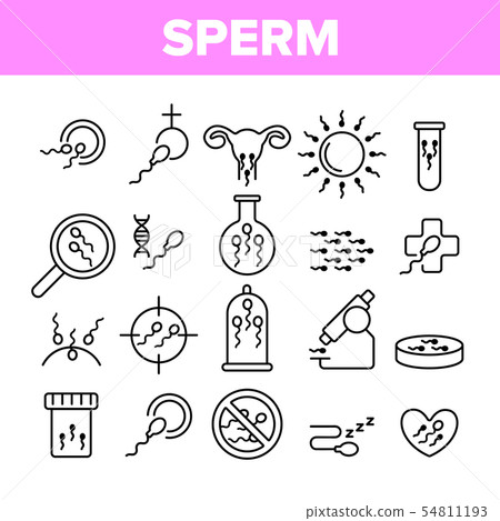 Sperm Cells Vector Thin Line Icons Set 54811193