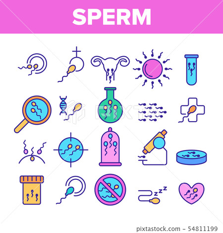 Sperm Cells Vector Color Line Icons Set Sperm Cells Vector Color Line Icons Set 54811199