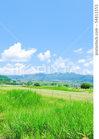 夏天信州安曇野的風景 54811553