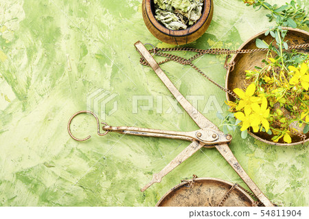 Hypericum medicinal plant 54811904