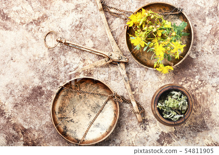 Hypericum medicinal plant 54811905