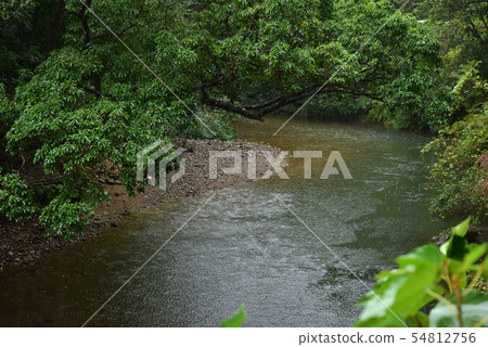 River scenery River scenery 54812756