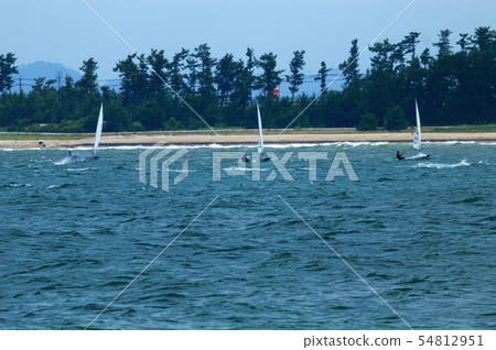 Yacht race of Miho Bay Yacht race of Miho Bay 54812951