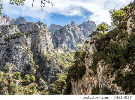 the Cares trail, garganta del cares, in the Picos de Europa Mountains, Spain 54814027