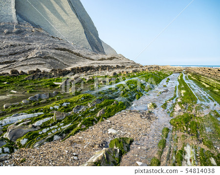 The Flysch Coast of Sakoneta, Zumaia - Basque Country, Spain 54814038