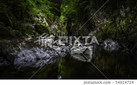 Fairy Glen Betws-y-coed Fairy Glen Betws-y-coed 54814724