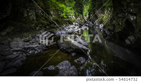 Fairy Glen Betws-y-coed Fairy Glen Betws-y-coed 54814732