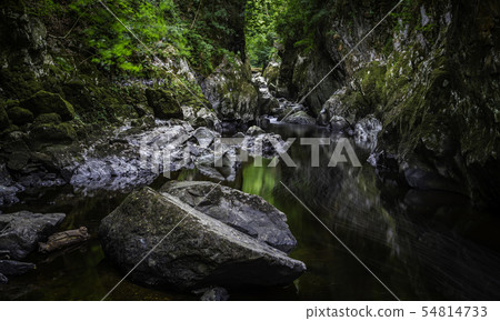 Fairy Glen Betws-y-coed Fairy Glen Betws-y-coed 54814733