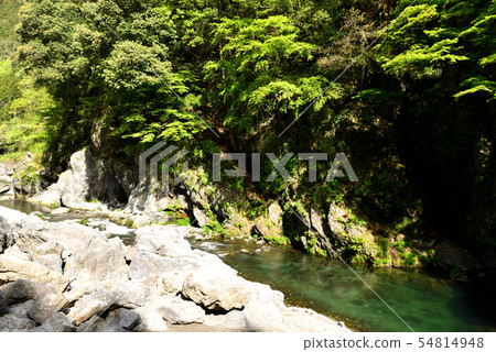 Hatonosu Valley in Okutama Hatonosu Valley in Okutama 54814948