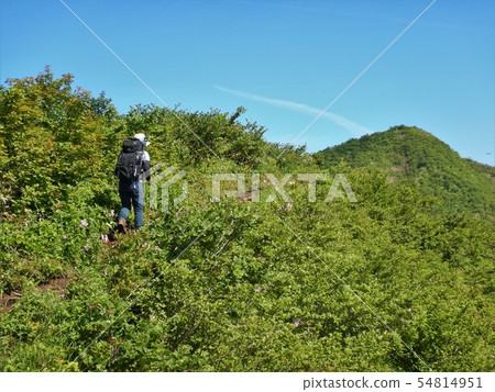 徒步旅行 徒步旅行 54814951