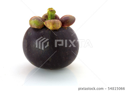 Mangosteen fruit isolated on white background Mangosteen fruit isolated on white background 54815066