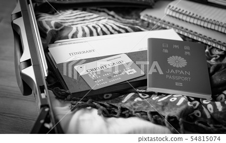 手提箱海外旅行保險信用卡夏季出差護照 手提箱海外旅行保險信用卡夏季出差護照 54815074