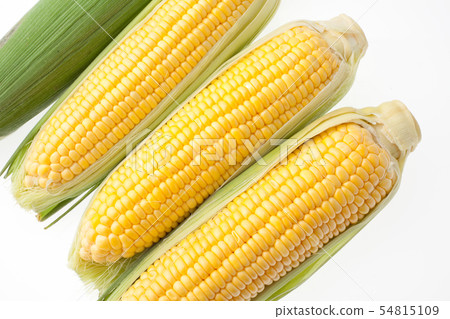 corn  54815109