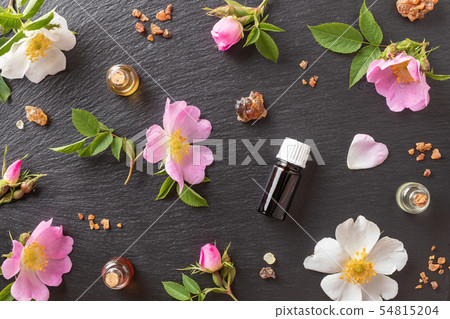 Essential oil bottles with dog rose flowers Essential oil bottles with dog rose flowers 54815204