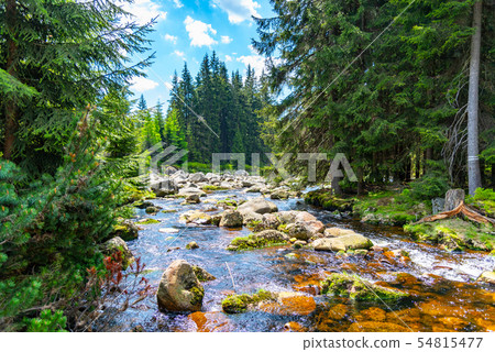 Jizera river full of granite rocks on sunny summer day, Jizera Mountains, Czech Republic 54815477