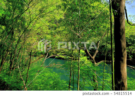 奧多摩谷和白馬湖 奧多摩谷和白馬湖 54815514