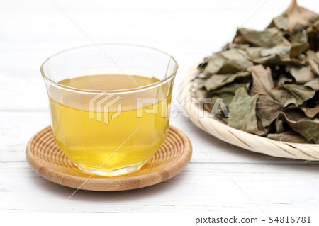 Dokudami tea 54816781
