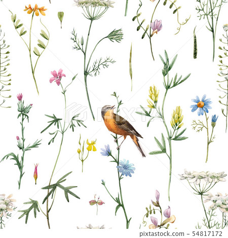 Watercolor floral pattern Watercolor floral pattern 54817172