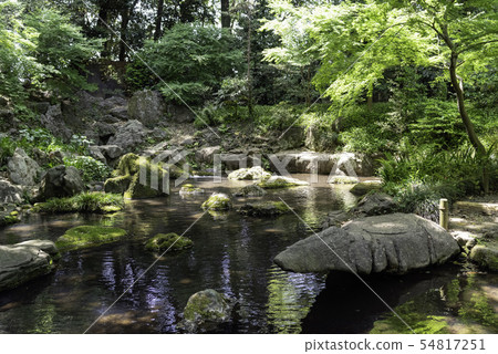 Japanese garden Japanese garden 54817251