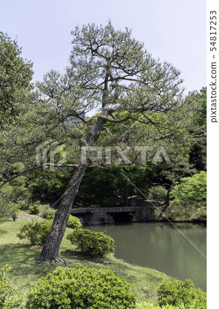 Japanese garden Japanese garden 54817253