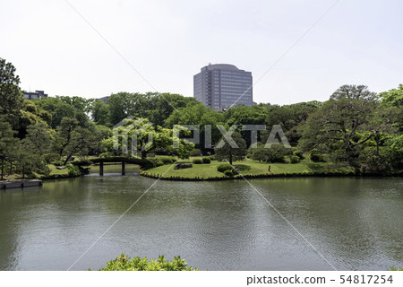 Japanese garden Japanese garden 54817254