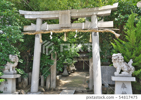[三宮神社]大阪府柏原市本鄉2號 54817475