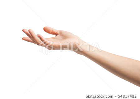 Open a woman's hand, palm up isolated on white  54817482