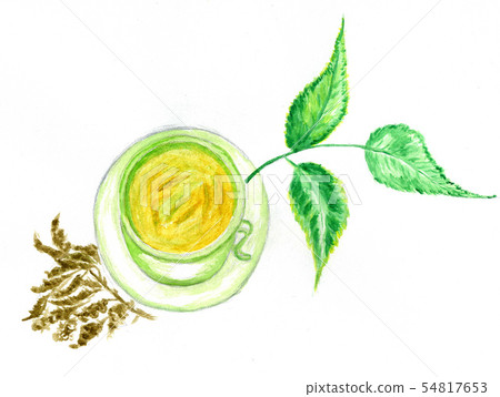 Green Tea Art Green Tea Art 54817653