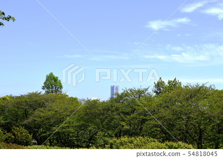 保土谷公園 保土谷公園 54818045