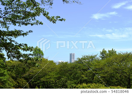 Hodogaya Park Hodogaya Park 54818046