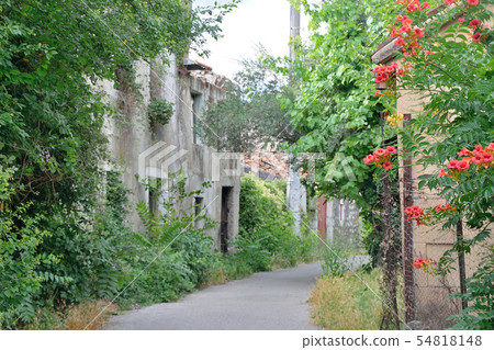 Alley in Podgorica Alley in Podgorica 54818148