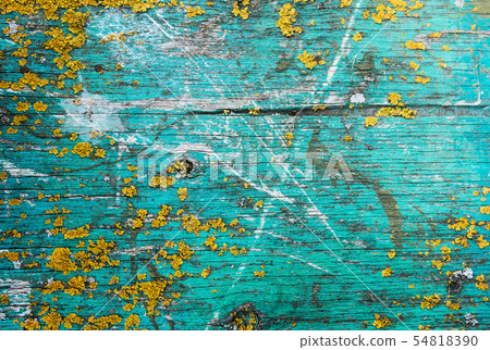 background on old painted Board with moss background on old painted Board with moss 54818390