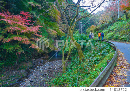 在Takaoyama Kiyotaki Station附近的東京八王子市秋天6號 54818722