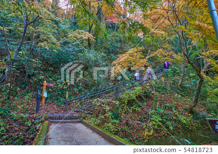 Inariyama路線在Kiyotaki駐地附近的山道入口在秋天八王子市，東京 54818723
