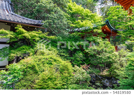 Takadai Benzaiten Bhasamondomon踪跡 Takadai Benzaiten Bhasamondomon踪跡 54819580