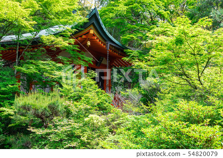 Takadai Benzaiten Bhasamondomon踪跡 54820079