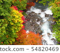 Autumn leaves 54820469