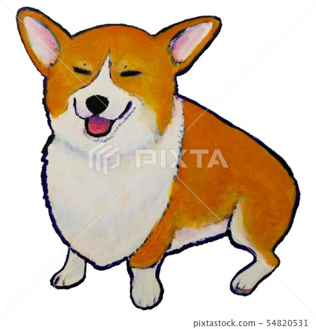 柯基犬微笑 54820531