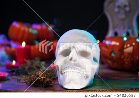 Human skull sitting on a wooden table with scary pumpkin celebrating halloween Human skull sitting on a wooden table with scary pumpkin celebrating halloween 54820588