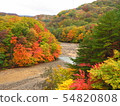 Autumn leaves 54820808