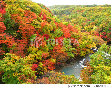 Autumn leaves 54820912