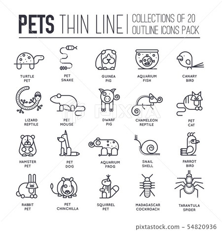 Set of adorable pets thin line icons, pictograms. 54820936