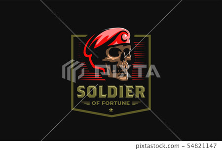 Skull in a military beret - Stock 