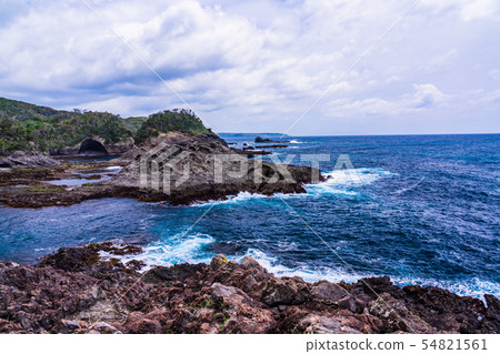 (Shizuoka Prefecture) South Izu Tarai bowl 54821561