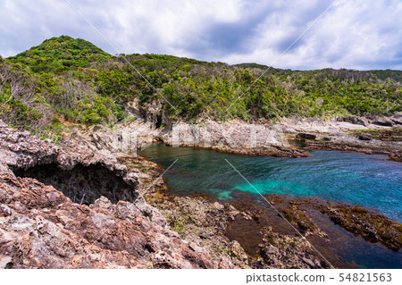 (Shizuoka Prefecture) South Izu Tarai bowl 54821563