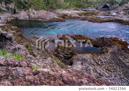 (Shizuoka Prefecture) South Izu Tarai bowl 54821566