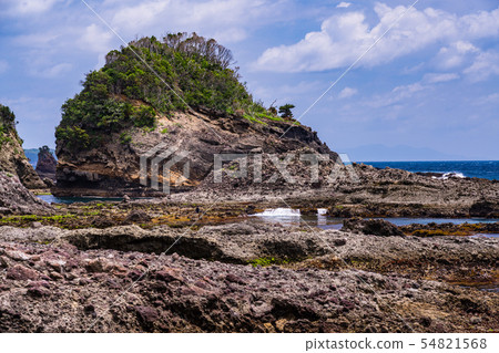 (Shizuoka Prefecture) South Izu Tarai bowl 54821568