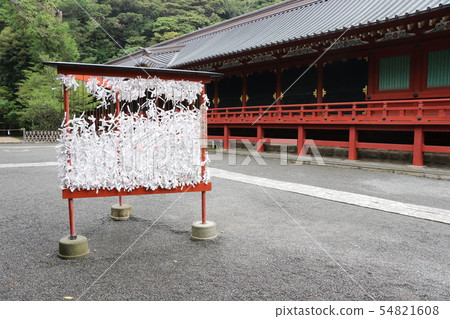 鎌倉鶴岡八幡宮 54821608